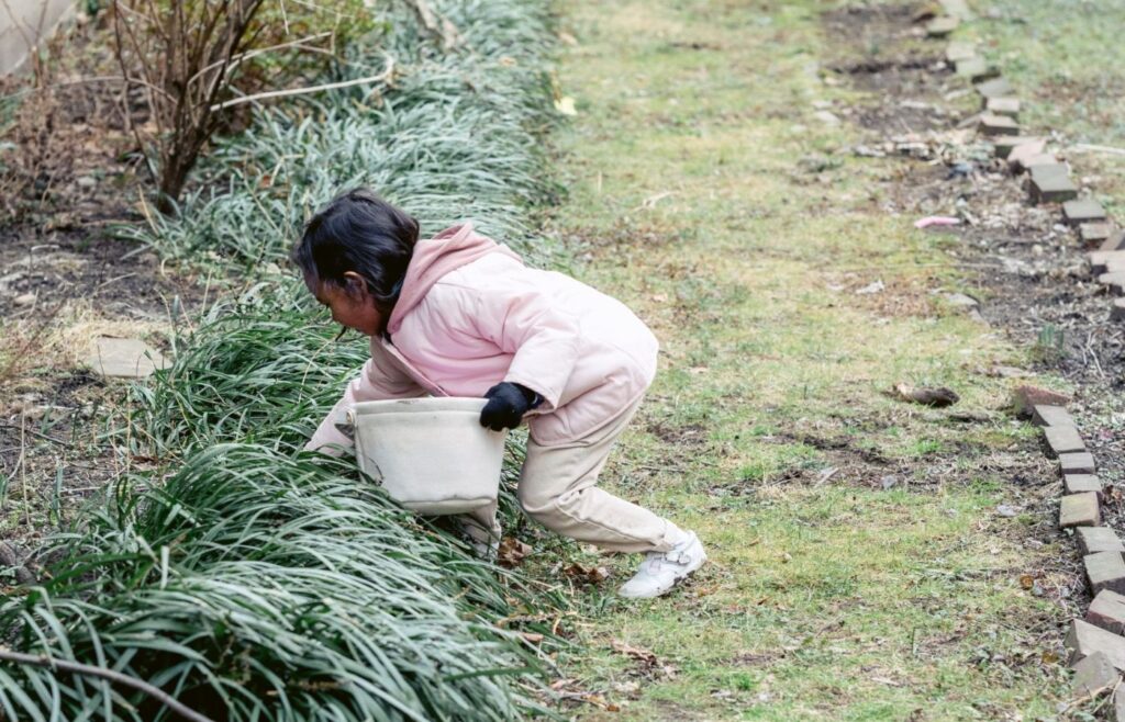 An image of a child completing outdoor activities in a pink coat and gloves holding a white basket and reaching into low bushes in the corner of a garden, as if on a scavenger hunt.