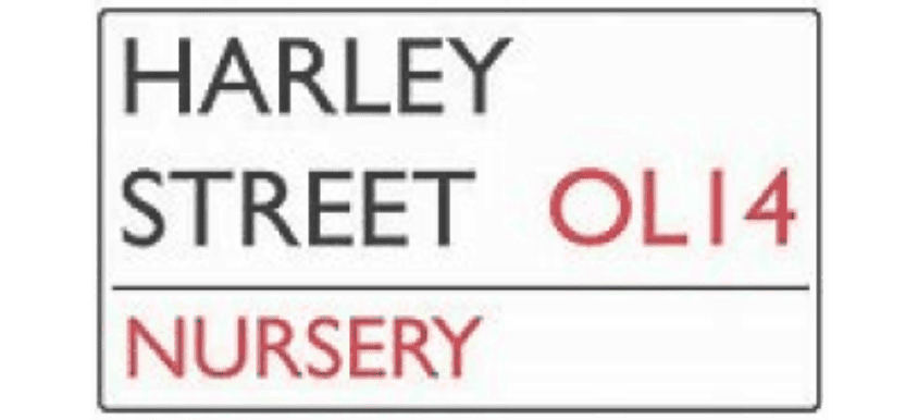 Harley Street Nursery logo in colour