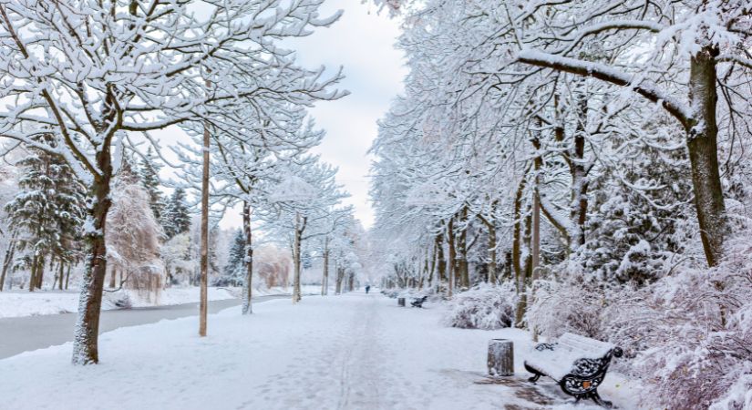 Exploring Seasons in Early Years Settings | eyworks