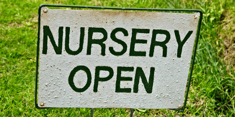 Nursery open day